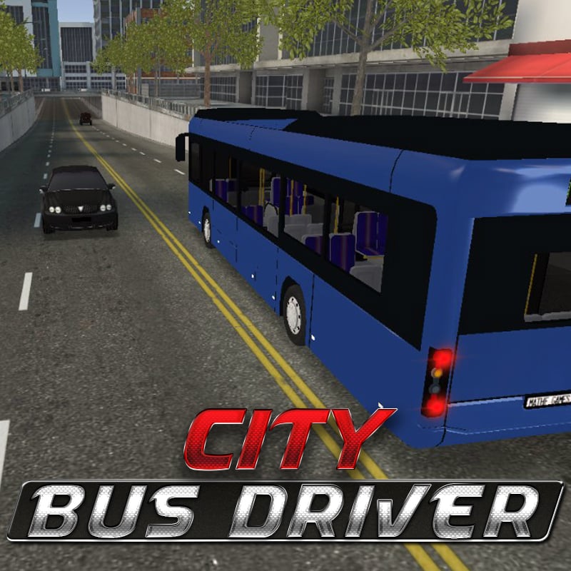 City Bus Driver